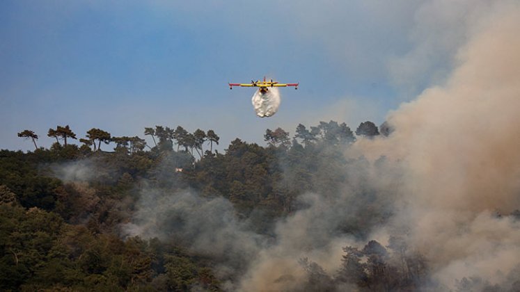 La superficie quemada por los incendios forestales en la UE superó a la de 2021./Foto: AFP