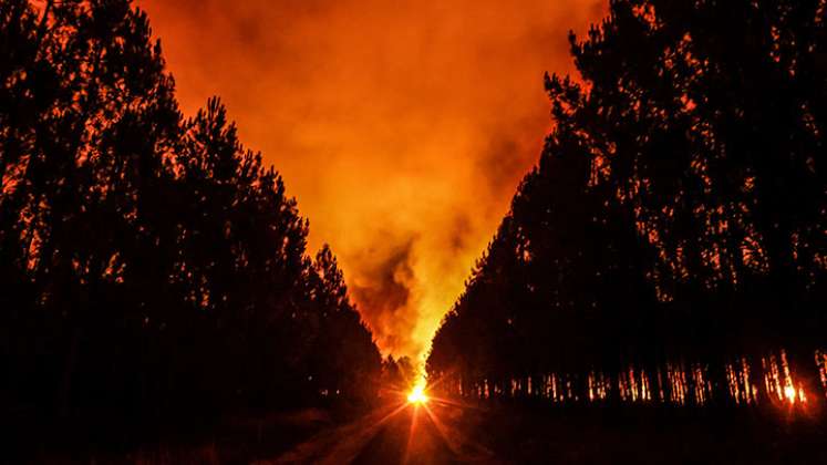 Francia recibe ayuda para enfrentar incendios que arrasan miles de hectáreas./Foto: AFP