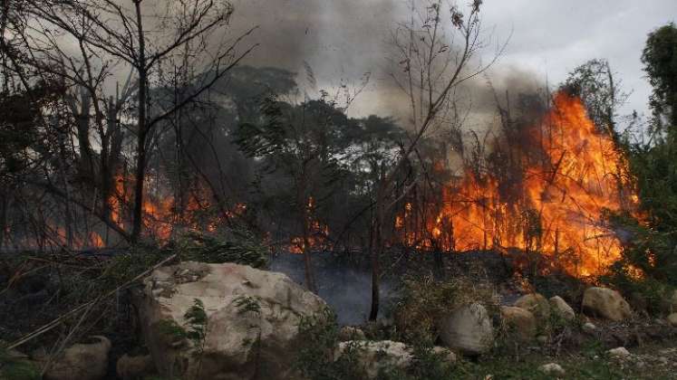 Hay más de 30 municipios de Norte en alerta roja por la amenaza de incendios en cobertura vegetal.