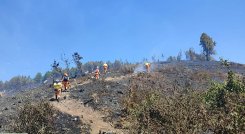 Más de 400 hectáreas afectadas  por las llamas./ Foto Cortesía