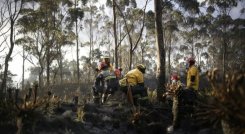 Incendios forestales-Colombia-bomberos