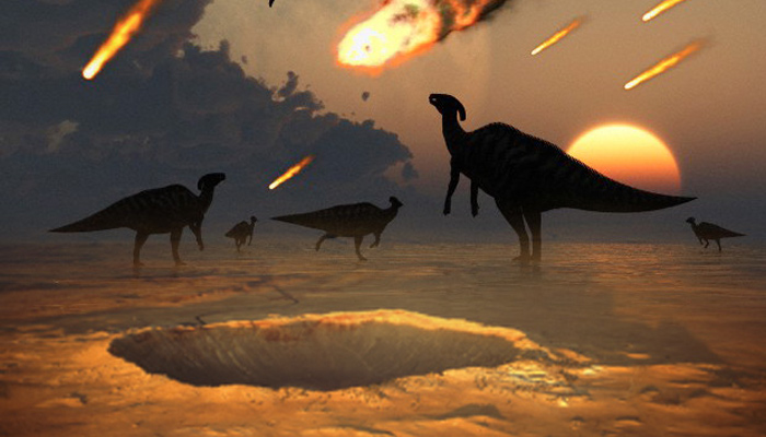 Las aves terrestres lograron sobrevivir al asteroide que extinguió a los  dinosaurios