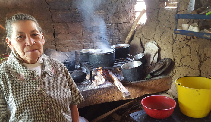 Cocinar con leña, un peligro para 1,6 millones de hogares | Noticias de