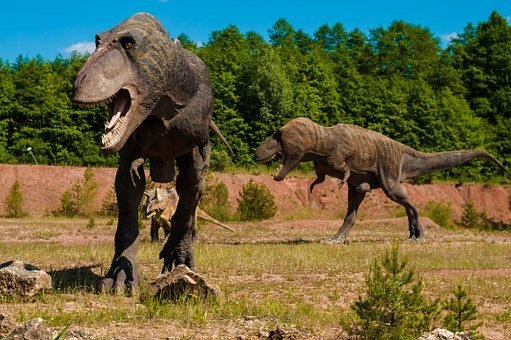 Los dinosaurios habitaron en varias regiones del planeta. /Foto:Archivo