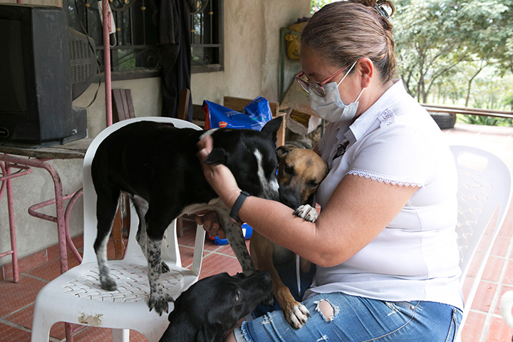Ángeles Guardianes es uno de esos hogares, el cual actualmente brinda abrigo a 50 canes y felinos. Su fundadora es Ligia Torres Picón. / Foto: Juan Pablo Cohen