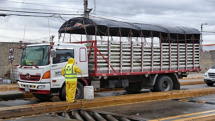 La Mesa de Abastecimiento ha movido más de 1 millón de toneladas de productos./Foto: colprensa