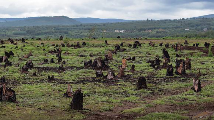 Deforestación en Colombia.