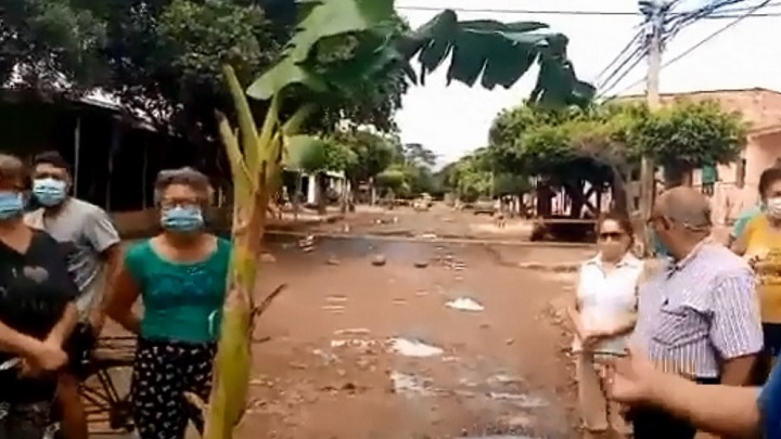 Mata de plátano en una de las calles del barrio Claret.