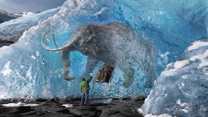Tras las huellas de un mamut lanudo miles de años después./Foto: internet