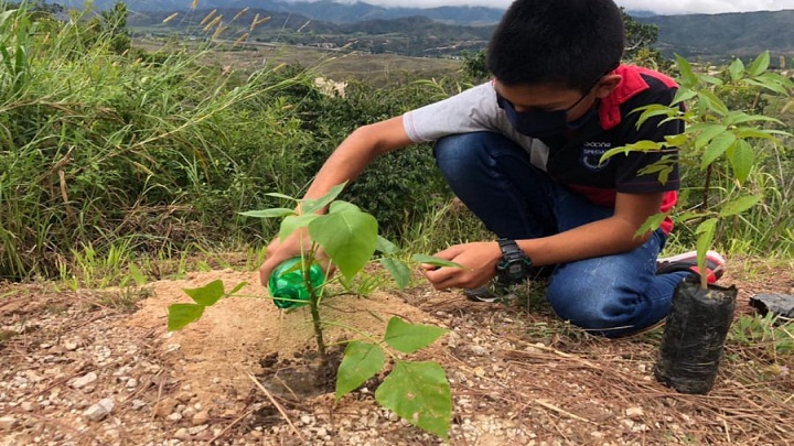 La Unidad Técnica Ambiental promueve programas ecológicos entre la población infantil.  / Cortesía/ La Opinión 
