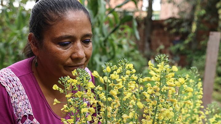 ¿Cuál es el rol de las mujeres en el campo colombiano?