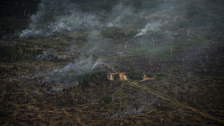 en las últimas cinco décadas el hombre también ha deforestado y quemado franjas enteras para destinarlas a la ganadería y la agricultura./AFP