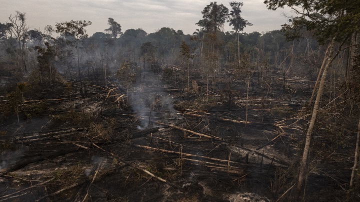 "Estamos matando la Amazonía. Y las proyecciones climáticas no están teniendo en cuenta eso, según la experta. /AFP