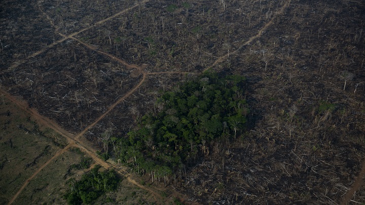 la Amazonía alcanzará su punto de inflexión cuando la deforestación afecte el 20%-25% de su territorio. /AFP