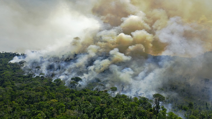 Deforestación, incendios, minería ilegal... es todo parte de la cultura de aquí./AFP