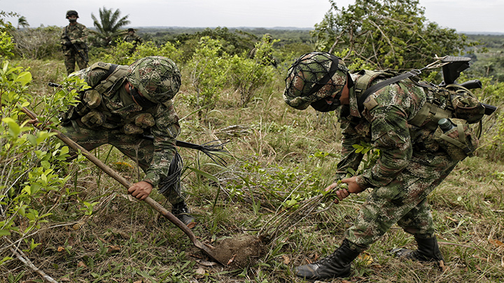 Erradicación de coca en Colombia.