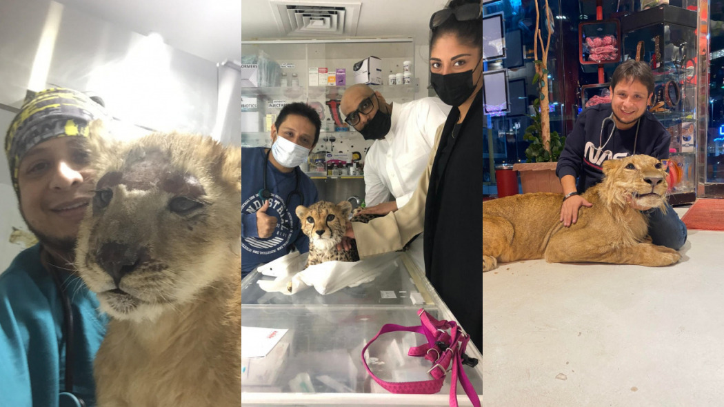 El médico veterinario, Emyr Alexis Chaparro Gereda, radicado en Arabia Saudita. Foto: Cortesía/La Opinión.