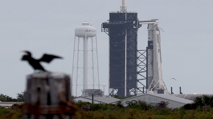 El cohete SpaceX Falcon 9 y la cápsula Crew Dragon en la plataforma de lanzamiento 39A en el Centro Espacial Kennedy de la NASA. /AFP