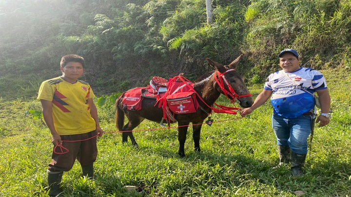  El técnico en salud pública, Luis Fernando Rojas recibió la mula dotada con los elementos de primeros auxilios. Foto: Cortesía/La Opinión.
