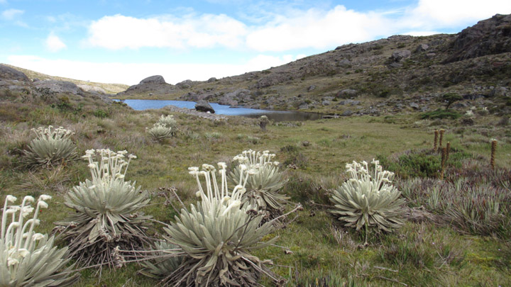 Panorámica de alta montañana andina.