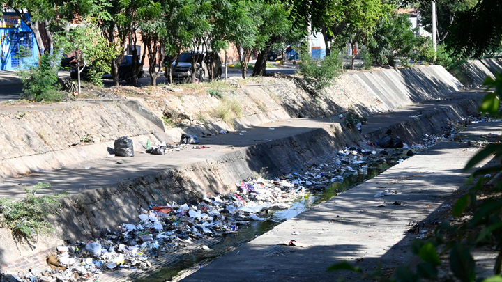 Los habitantes de calle destapan bolsas y botan basuras