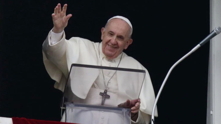 El Papa calificó de “egoístas” a los que no quieren tener hijos y los reemplazan con “perros o gatos”