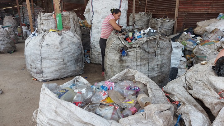 En la recicladora El Molino se generan 15 empleos directos.