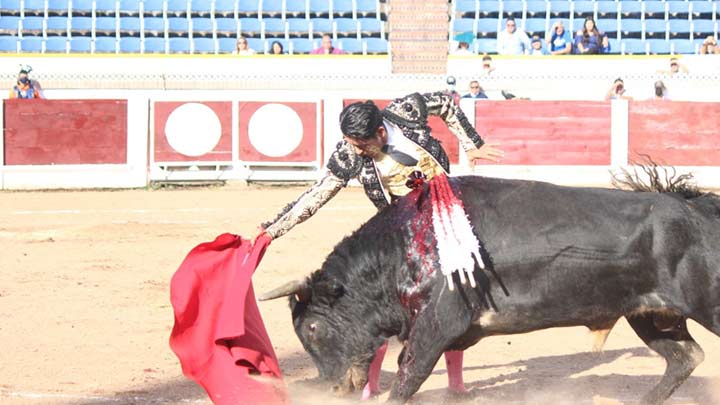 Feria de San Sebastián sí tendrán corridas de toros./Foto archivo