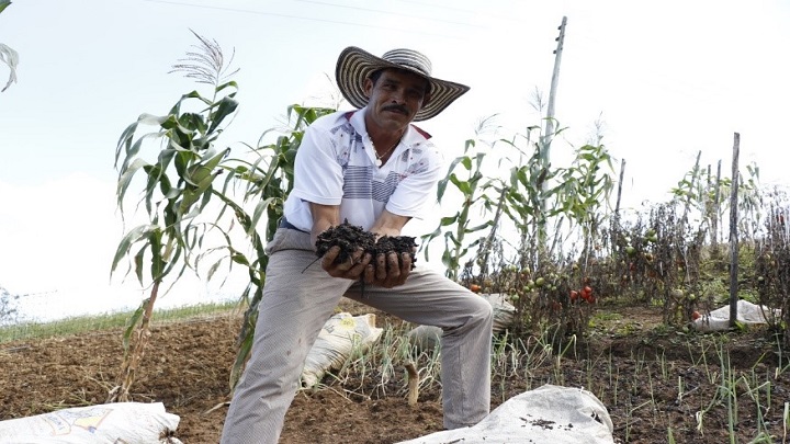Un fenómeno bastante acentuado se registra en la zona del Catatumbo y es el desplazamiento de los jóvenes del campo hacia las ciudades. Únicamente los adultos mayores se quedan con los cultivos tradicionales. 