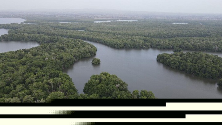 Inventario forestal nacional de Colombia  