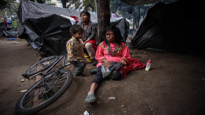 Sin camino a casa: el difícil día a día de las comunidades indígenas en Bogotá./Foto: Colprensa