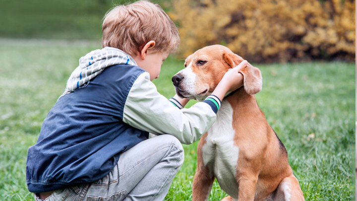 Los perros, aliados en la niñez y la vejez