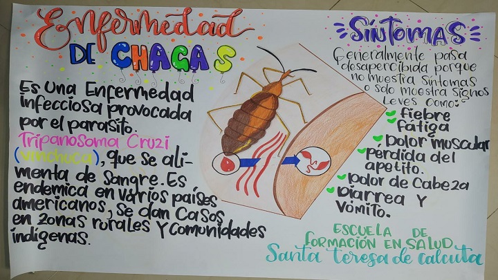 El mal de Chagas provoca alteraciones cardiacas.