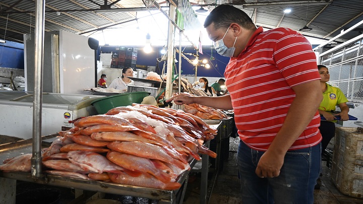 El precio del pescado, aunque tiende al alza, se mantiene económico. La cachama es el más económico, el kilo está a $8.000.  / Foto: Jorge Rodríguez/La Opinión