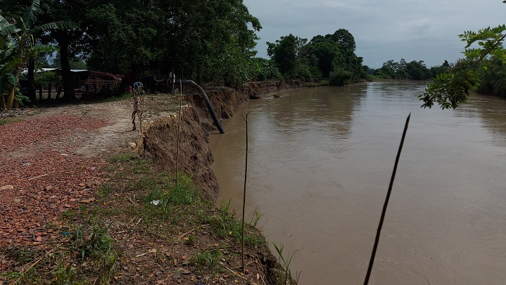 El río Pamplonita podría inundar fincas y destruir cultivos de arroz
