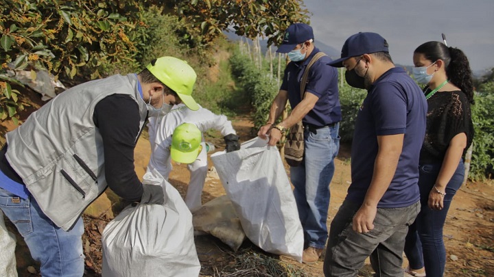La fundación Bioentorno traza las rutas para la recolección de recipientes post consumo de sustancias tóxicas. / Foto: Cortesía / La Opinión