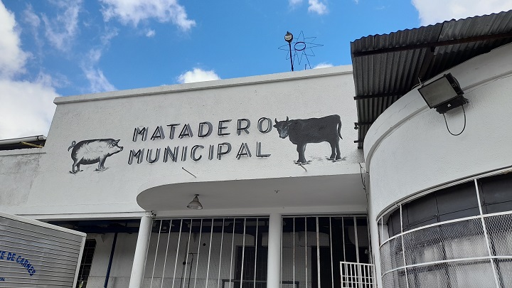 Matadero de San Cristóbal cada vez recibe menos ganado para el sacrificio. Foto Anggy Polanco / La Opinión 