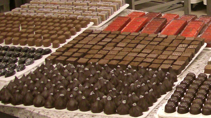 Detectan salmonela en fábrica de chocolate./Foto: internet