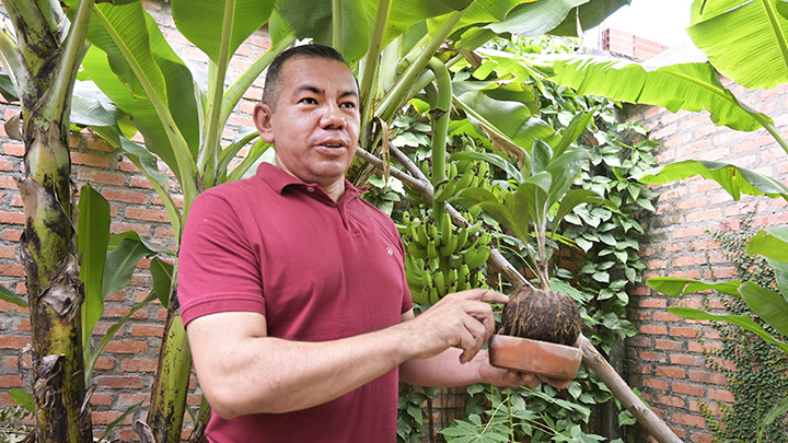 Hasta los cocos son reciclados como recipientes para plantar./Foto: Jorge Gutiérrez - La Opinión