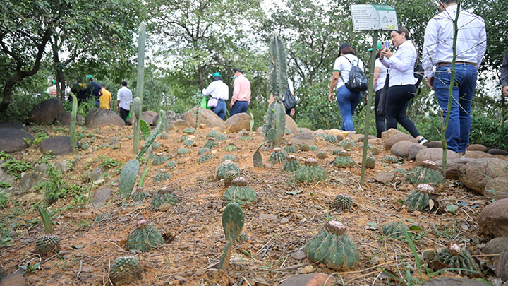 Se construyó un sendero ecológico de 500 metros, el cual está abierto a las comunidades. / Foto: Jorge Iván Guitérrez 