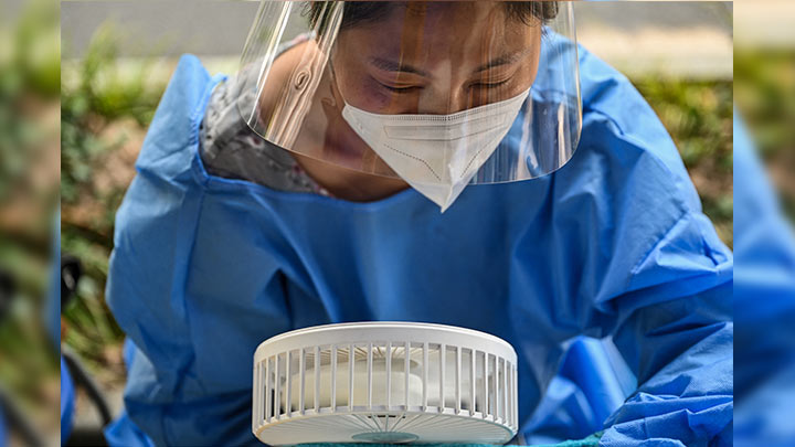 Decenas de personas infectadas en China con nuevo virus Langya./Foto: AFP