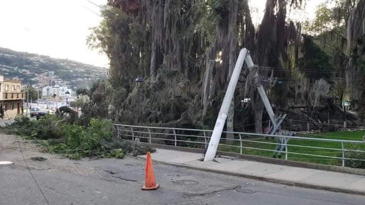 Apagón en Avenida Santander de Pamplona por caída de árbol./Foto: cortesía