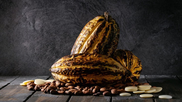 El café y el cacao serán protagonistas este fin de semana./Foto: Colprensa