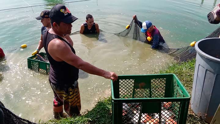 Pequeños productores acuícolas de Puerto Santander piden ayuda/Foto cortesía