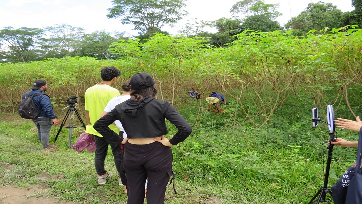 Jóvenes del Catatumbo reciben charlas y capacitaciones para que se queden en la región y preserven los cultivos lícitos.