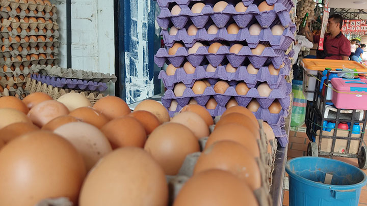 El tipo de huevos más barato es el C, que los mayoristas de Cenabastos venden en $12.000 y $13.000. / Foto Leonardo Favio Oliveros / La Opinión