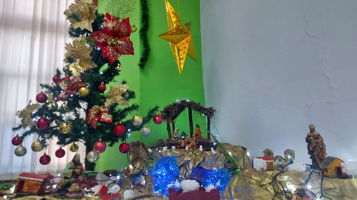 Una campaña para evitar el uso del musgo en las decoraciones navideñas adelantan las autoridades ambientales en Ocaña. / Foto: Cortesía / La Opinión