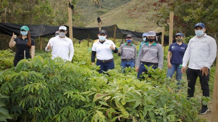 El Instituto Colombiano Agropecuario, ICA, entrega el registro para la producción de material forestal al vivero El Edén del corregimiento de Buenavista, comprensión rural del municipio de Ocaña.
