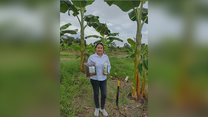Yolima Villamizar Suárez, se siente orgullosa de trabajar del fruto de su tierra: Chitagá./Foto: cortesía