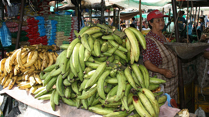 El plátano registró un aumento en el precio de 13,78%./ Foto Archivo